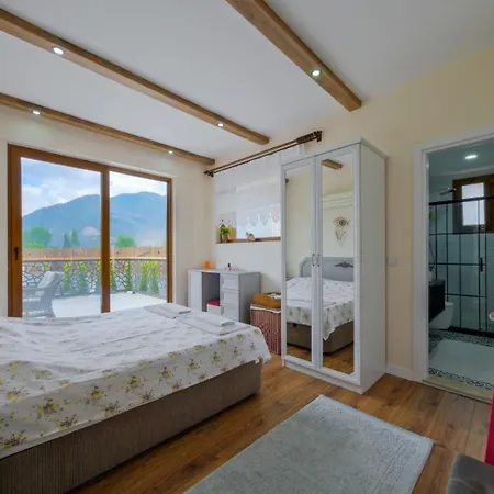 Hotel Aleyna 4*